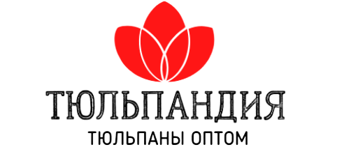 Тюльпандия, Тюльпаны оптом